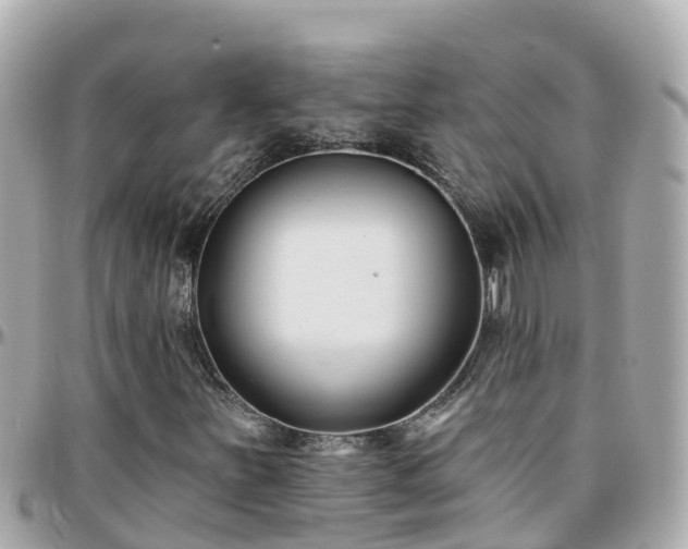 X0000096211251200801251027