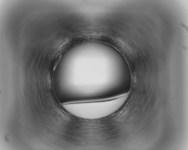 X0000096211252200801251027