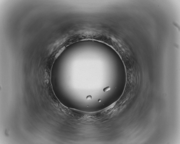 X0000096211253200801251027