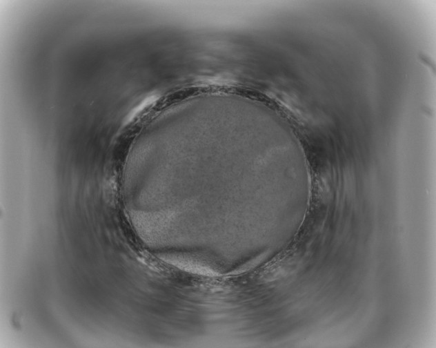 X0000096211254200801251027