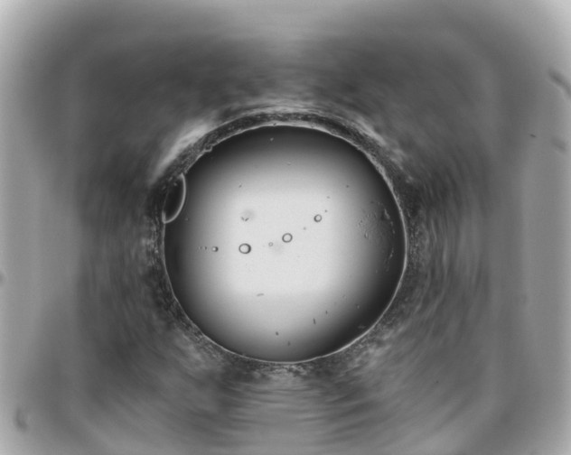 X0000096211255200801251027