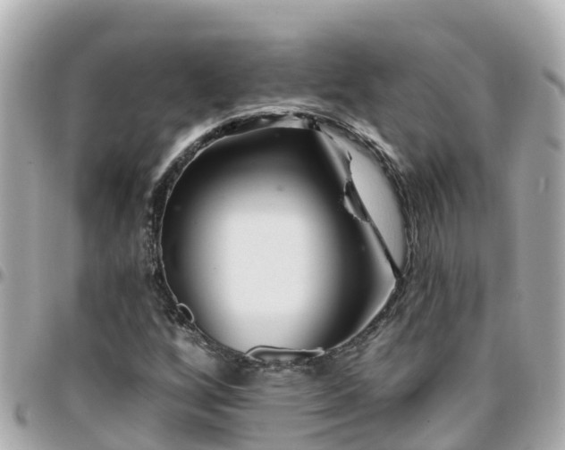 X0000096211256200801251027