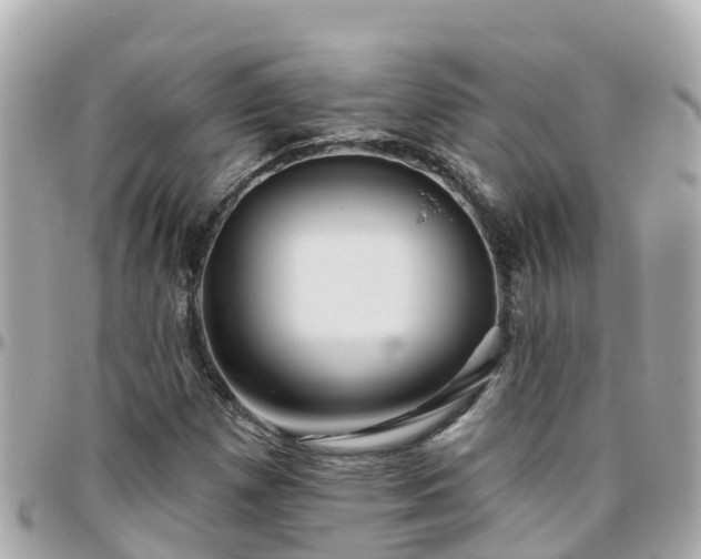 X0000096211257200801251027