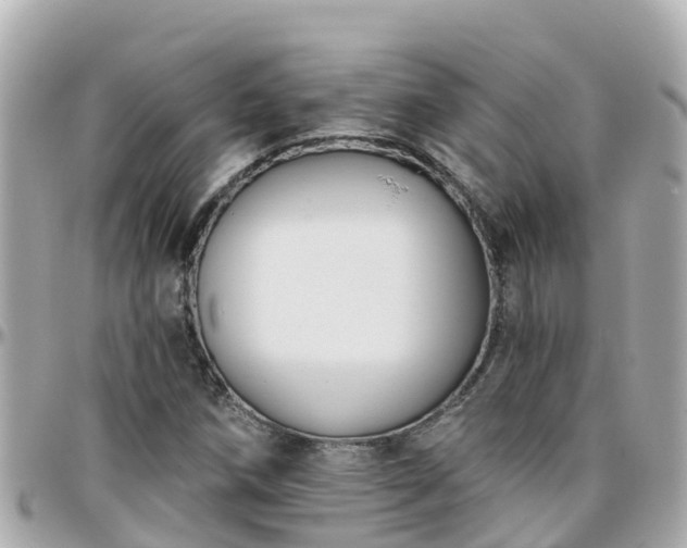 X0000096211258200801251027