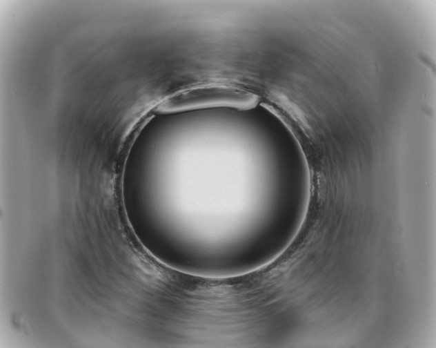 X0000096211260200801251027