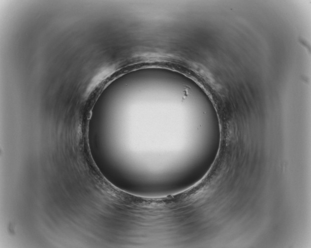 X0000096211261200801251027