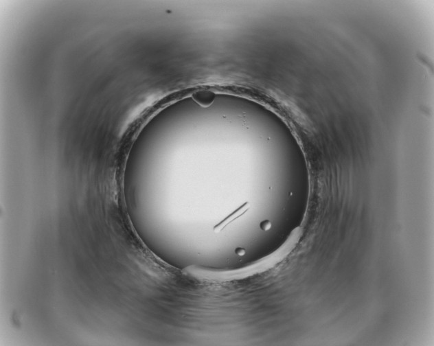 X0000096211262200801251027