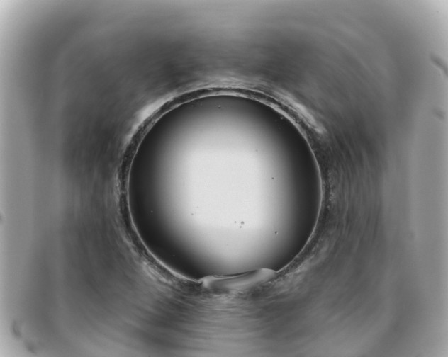 X0000096211264200801251027