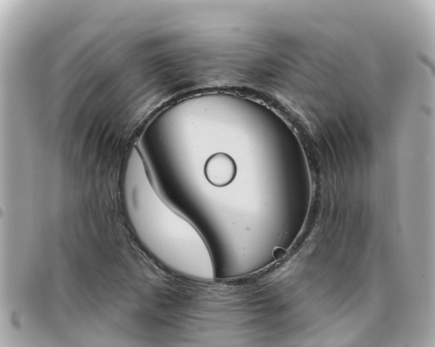 X0000096211265200801251027