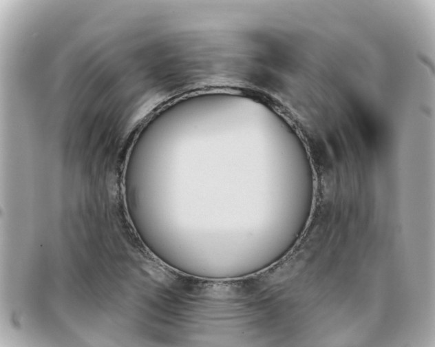 X0000096211266200801251027