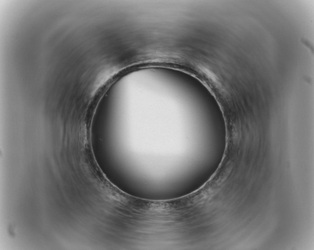 X0000096211267200801251027