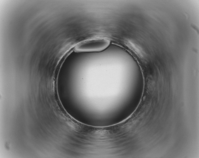 X0000096211268200801251027