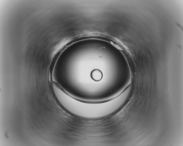 X0000096211269200801251027