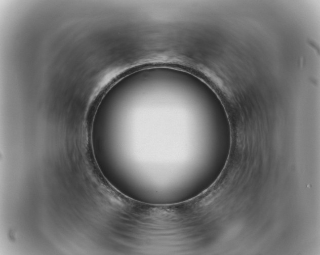 X0000096211270200801251026