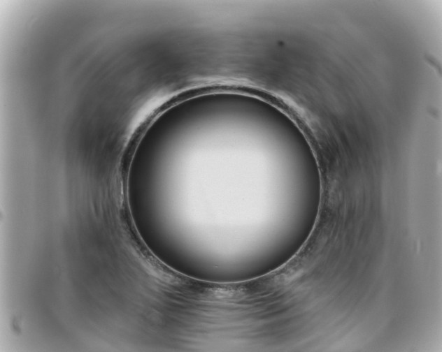 X0000096211271200801251026