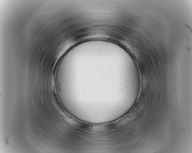 X0000096211274200801251026