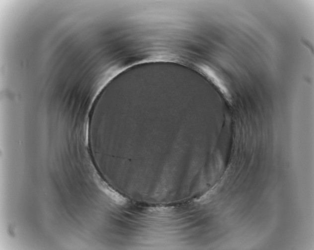 X0000096211276200801251026