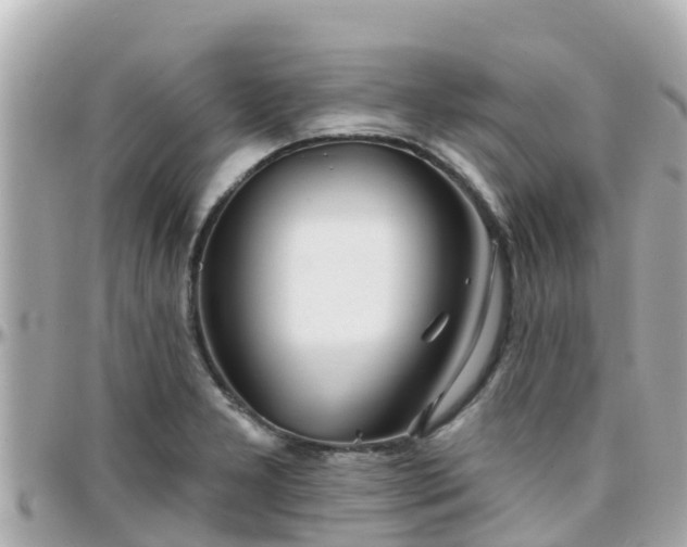 X0000096211277200801251026