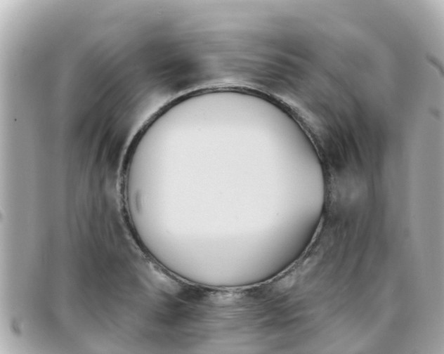 X0000096211278200801251026