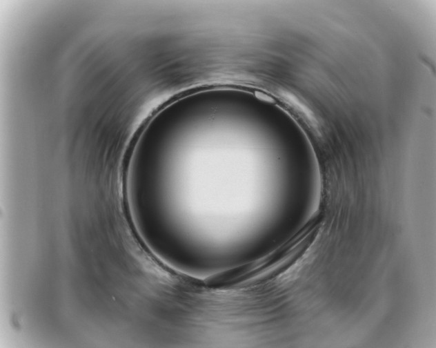 X0000096211280200801251026