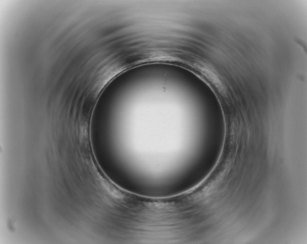 X0000096211281200801251026