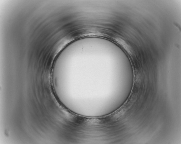 X0000096211282200801251026