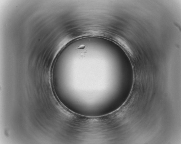 X0000096211283200801251026