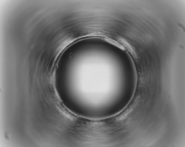 X0000096211284200801251026