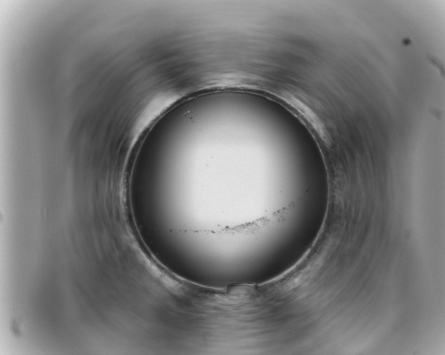 X0000096211285200801251026