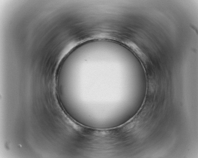 X0000096211286200801251026