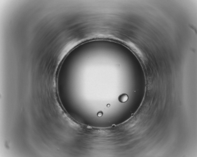 X0000096211287200801251026