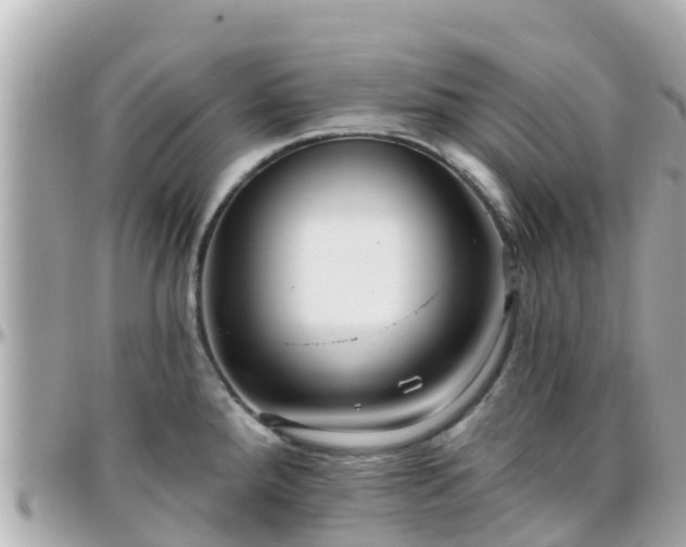 X0000096211288200801251026