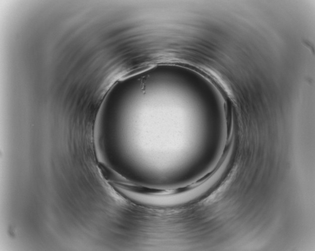 X0000096211289200801251026