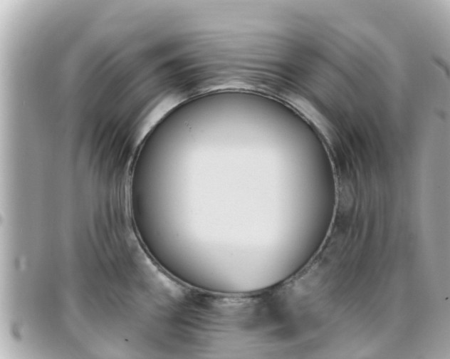 X0000096211290200801251026