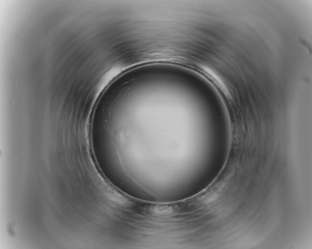 X0000096211291200801251026