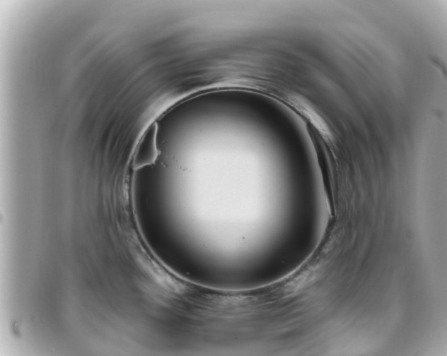 X0000096211292200801251026