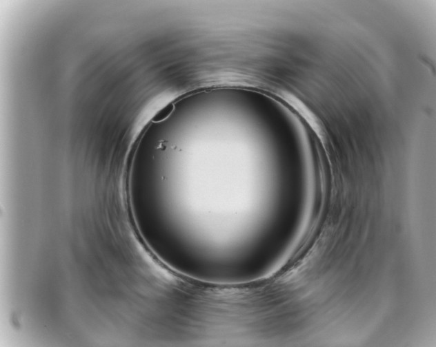 X0000096211293200801251026