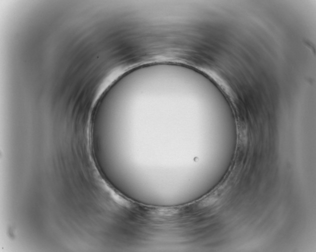 X0000096211294200801251026