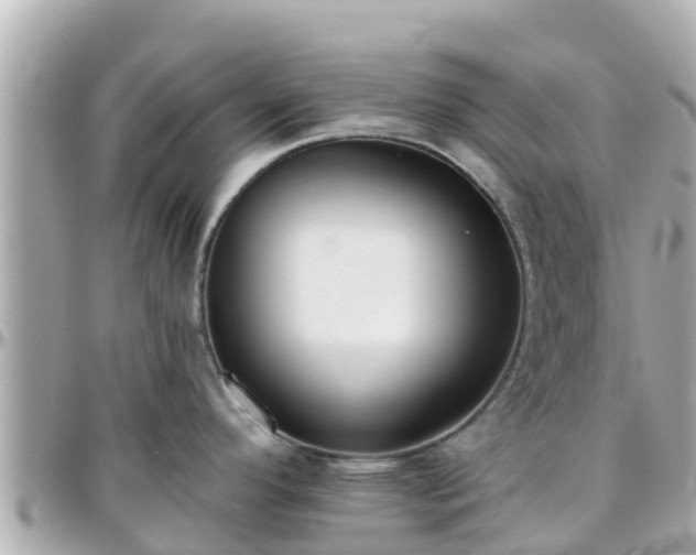 X0000096211296200801251026