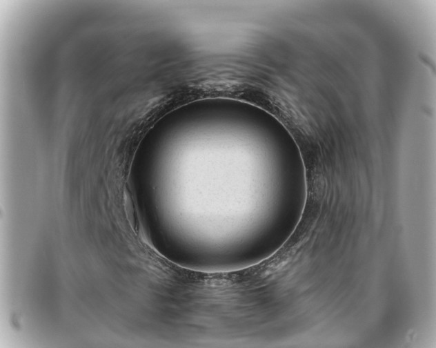 X0000096211297200801251025