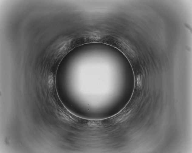 X0000096211299200801251025