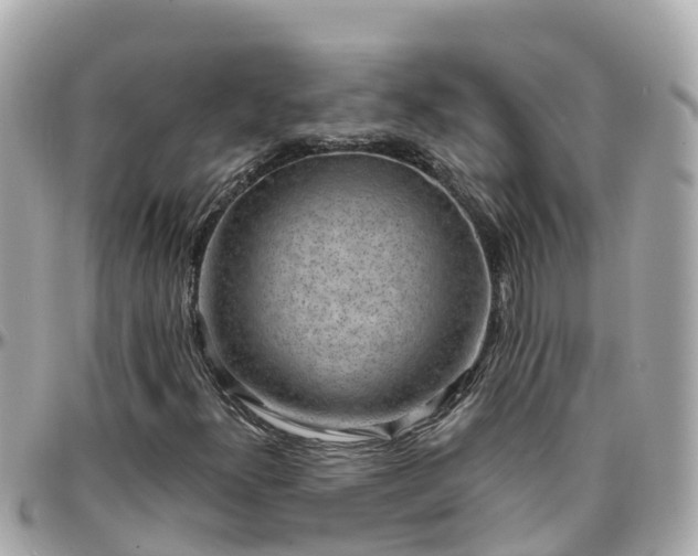 X0000096211300200801251025