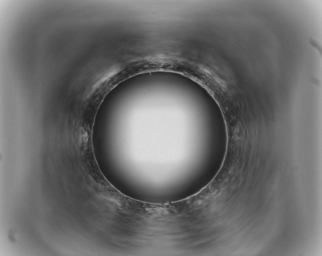 X0000096211302200801251025