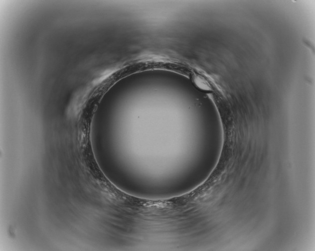 X0000096211303200801251025