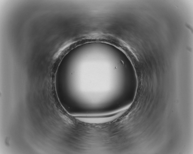 X0000096211304200801251025