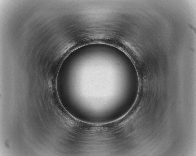 X0000096211305200801251025