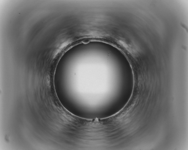 X0000096211307200801251025