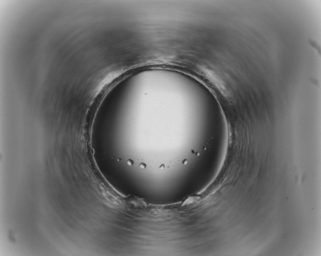 X0000096211308200801251025