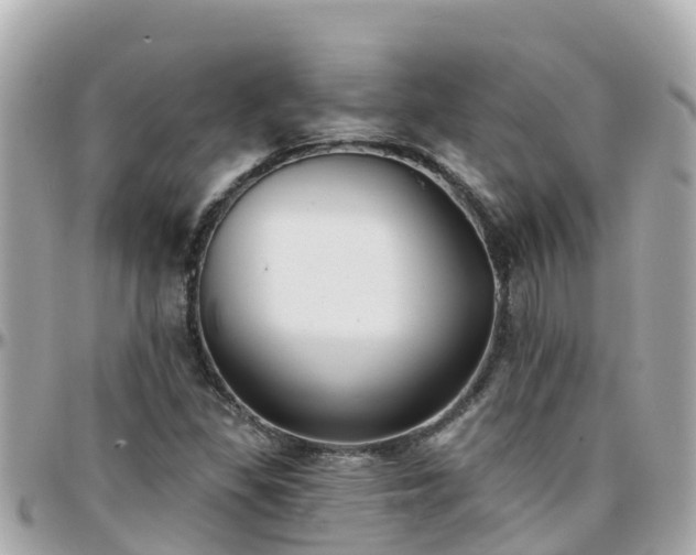 X0000096211309200801251025