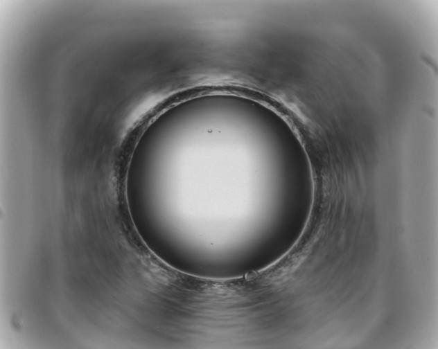 X0000096211311200801251026